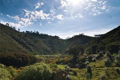 Grande Rota Prata Ouro